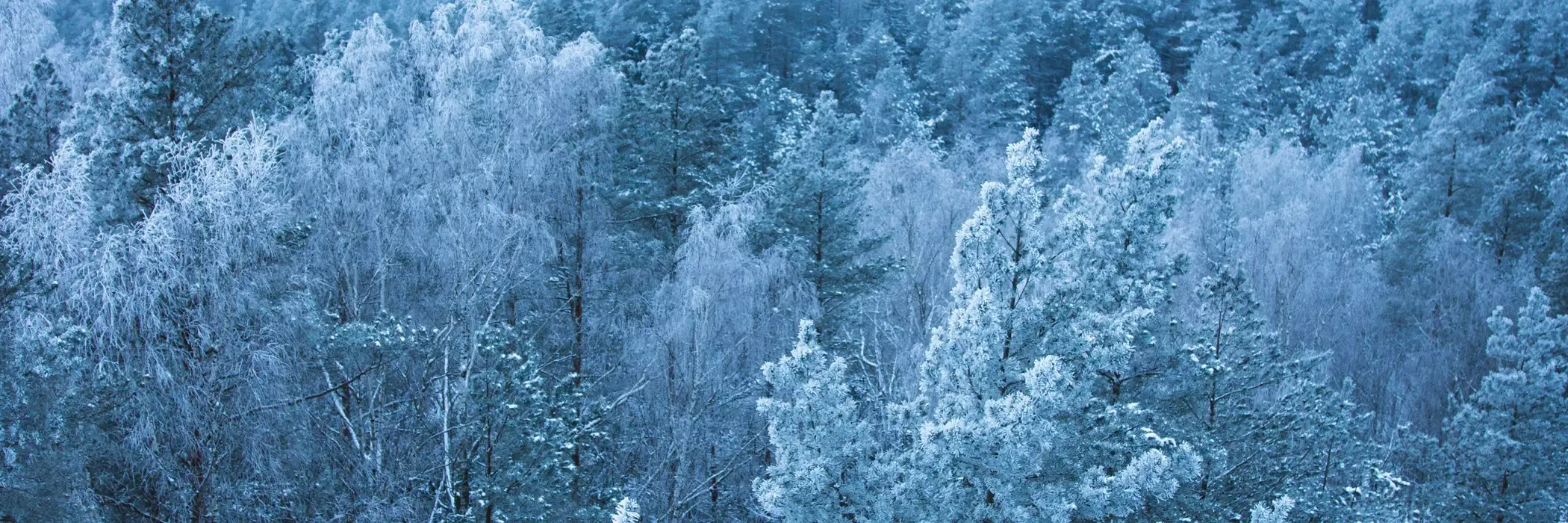 Latvia esim plans