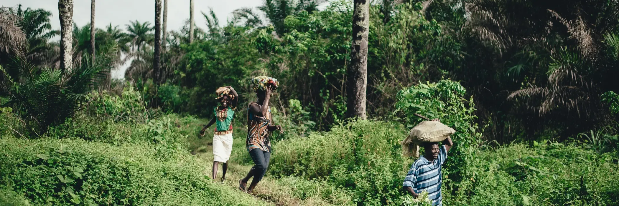 Sierra Leone esim plans