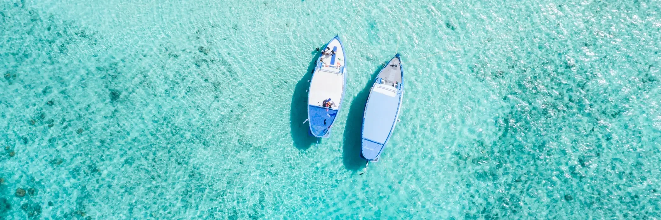 Fiji esim plans