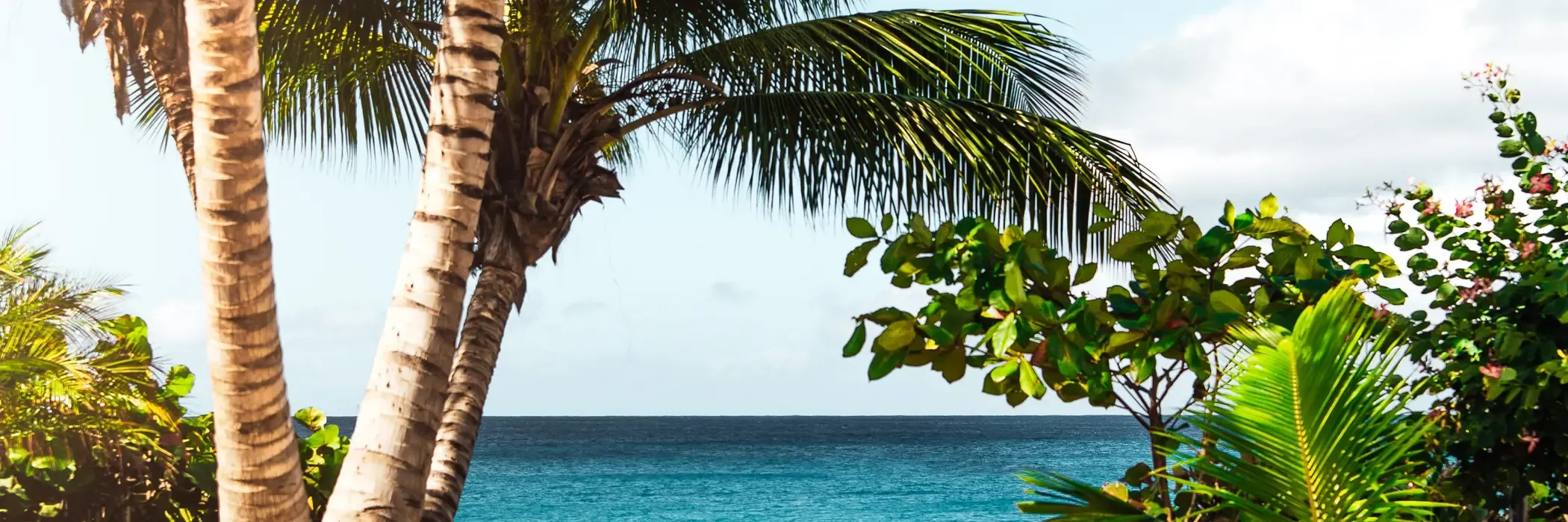 Puerto Rico esim plans