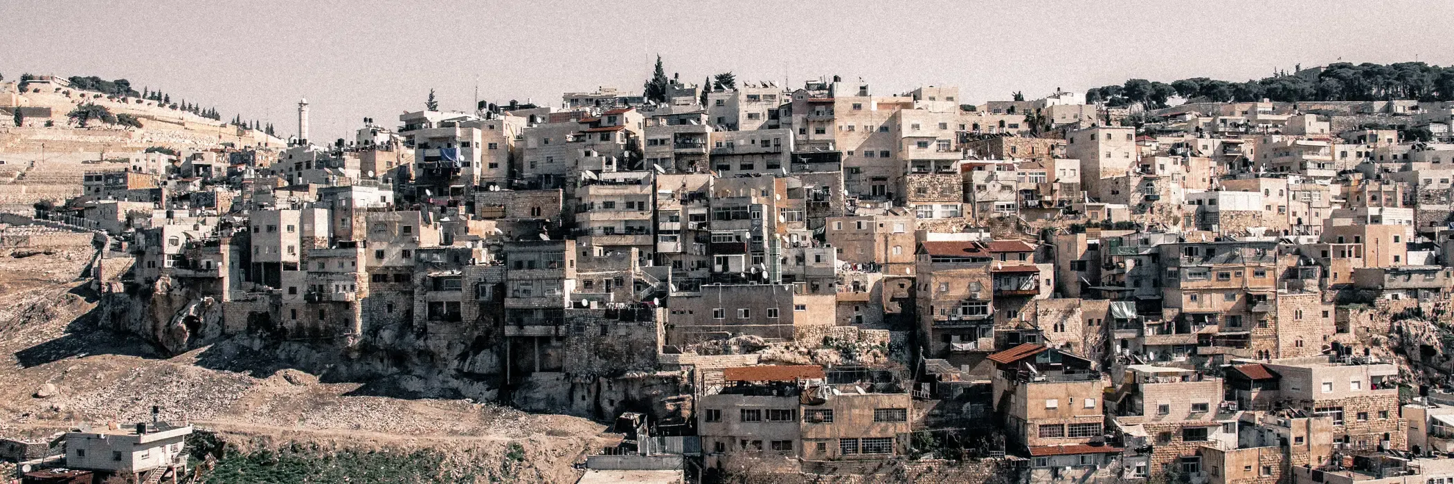 Palestine esim plans