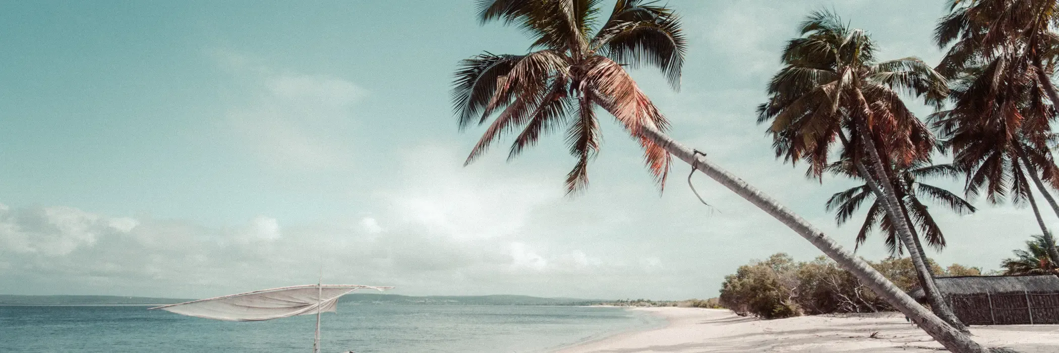 Mozambique esim plans