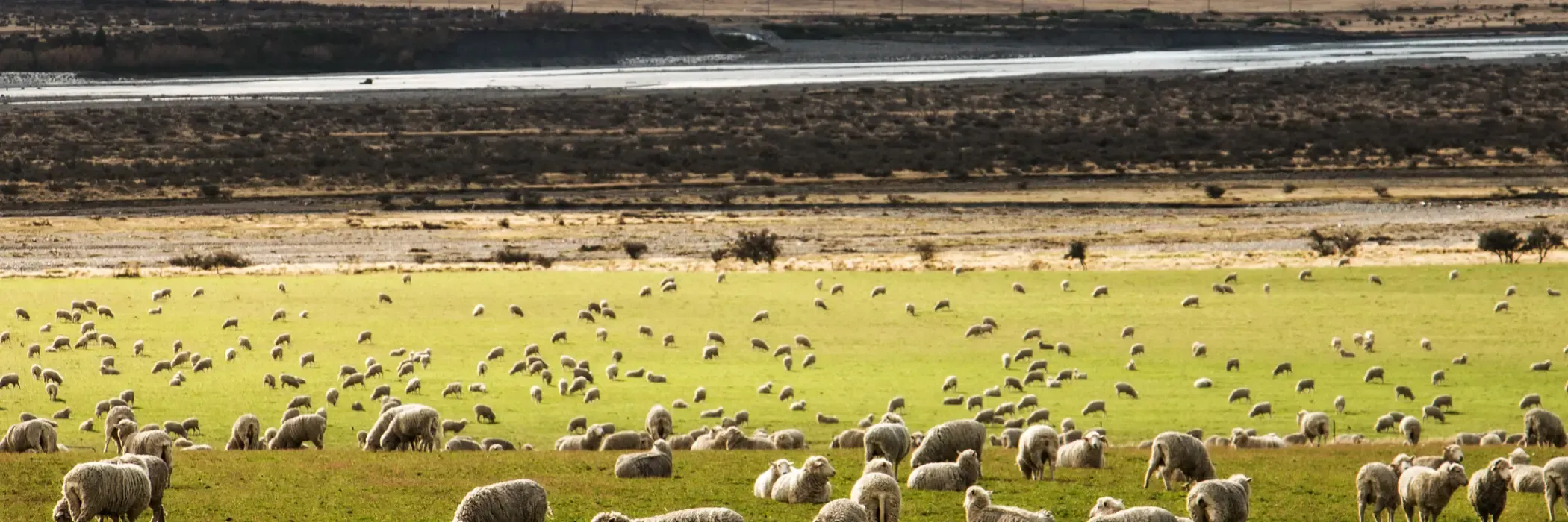 New Zealand esim plans